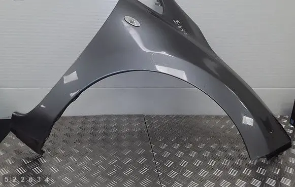 Nissan Leaf I (ZE0) Fender 