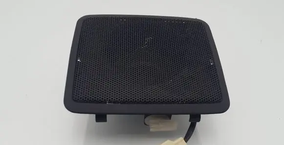 Panel speaker
