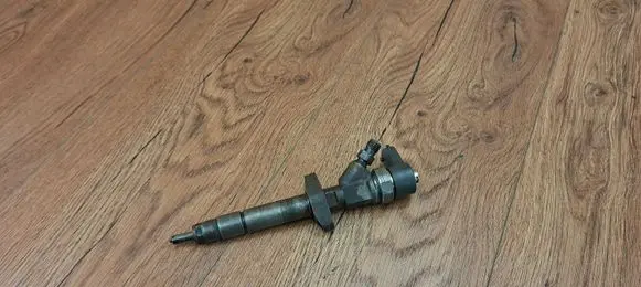 Renault Vel Satis Fuel injector 0445110084
