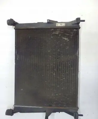 Renault Clio III Coolant radiator VF1BR1J0H37378141