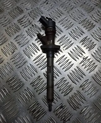 Peugeot 607 Fuel injector 0445110036