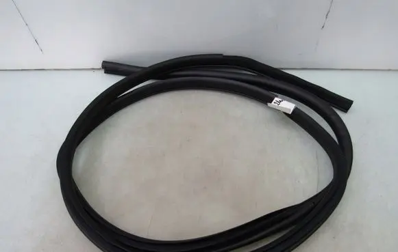 Nissan Leaf II (ZE1) Rubber seal rear door 