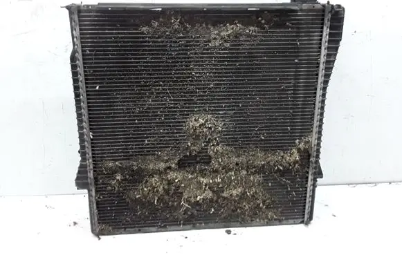 BMW X5 E53 Coolant radiator 1439101