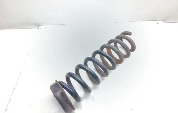 Rear coil spring