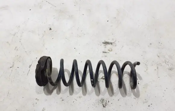 Rear coil spring