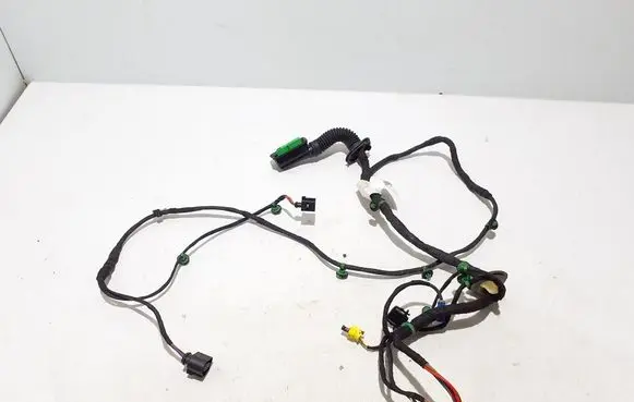 Porsche Panamera (971) Other wiring loom 971971035