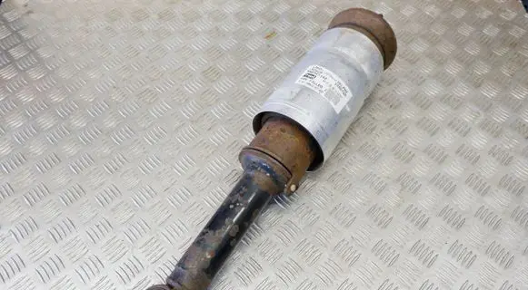 Land Rover Range Rover Sport L320 Air suspension front shock absorber RNB501140 22227491