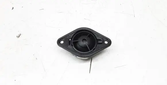 Panel speaker