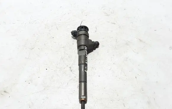 Renault Kangoo II Fuel injector 8201108033