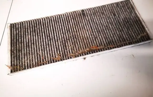 Tesla Model Y Cabin air micro filter 165837600a 1658376-00-a