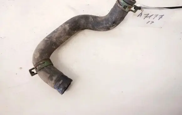 Renault Scenic I Engine coolant pipe/hose