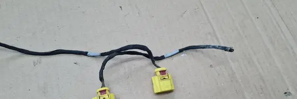 Audi S5 F5 Other wiring loom 8V0973703