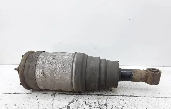 Land Rover Range Rover L322 Rear shock absorber/damper 3496895 22241479A