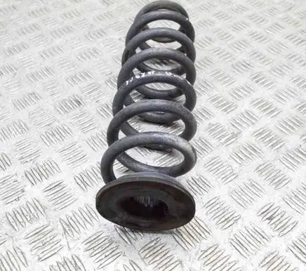 Opel Insignia B Rear coil spring 84198854