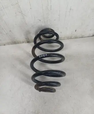 Rear coil spring