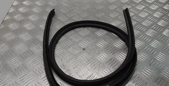 Citroen DS3 Rubber seal front coupe door 