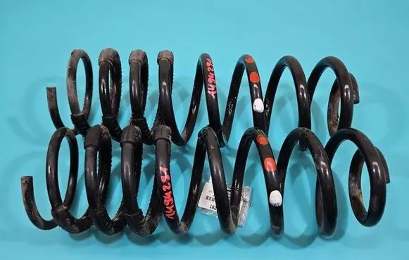 Rear coil spring