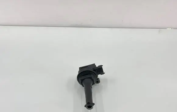 Volvo XC90 High voltage ignition coil 0221604001
