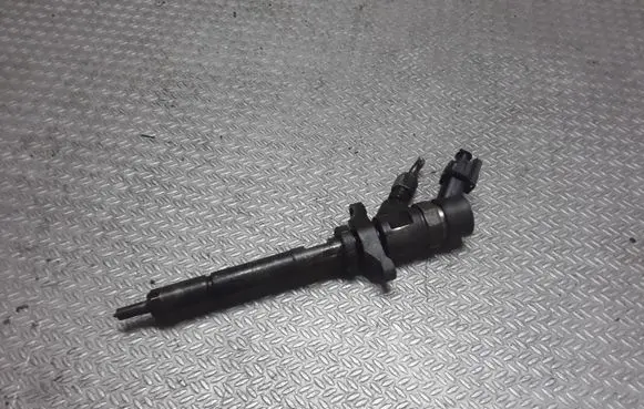 Citroen C5 Fuel injector 0445110188