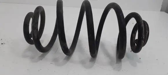 Volkswagen PASSAT B5.5 Rear coil spring