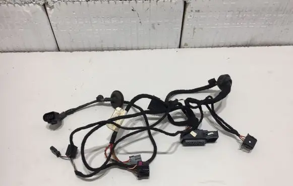 Volkswagen PASSAT B5 Front door wiring loom 3B0971121G