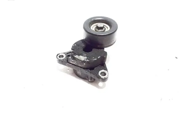 Infiniti FX Timing belt/chain tensioner 119555X20B