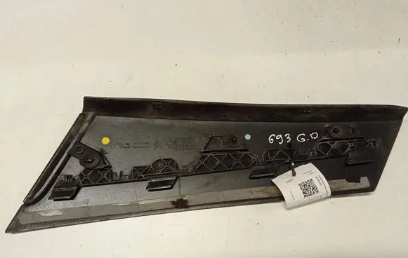 Citroen C5 Rear door glass trim molding 9685658777