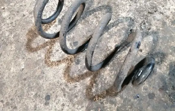 Nissan Qashqai Rear coil spring