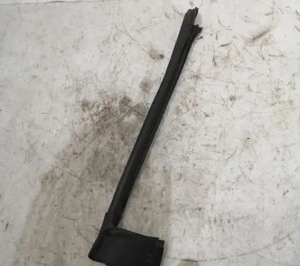 Chevrolet Camaro Rubber seal front coupe door 246649263