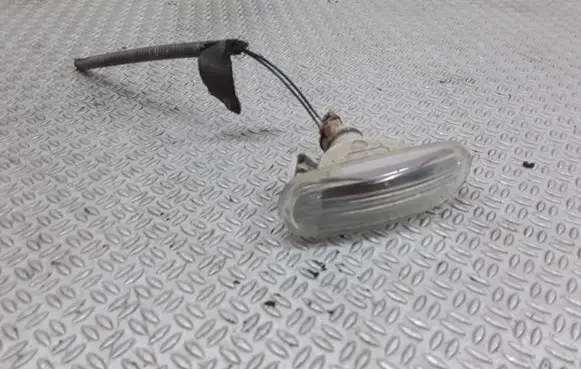 Fiat Grande Punto Front fender indicator light