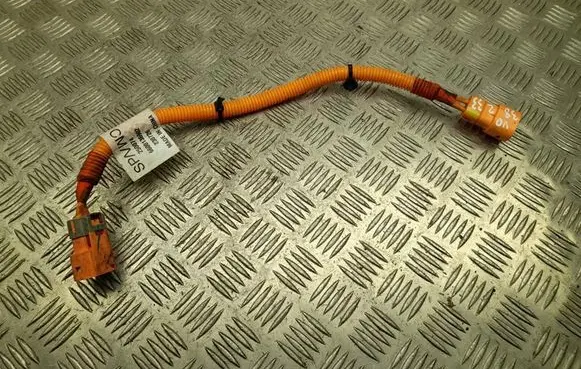 Other wiring loom