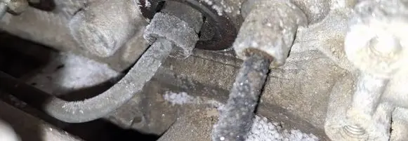 Nissan Almera Tino Fuel injector 