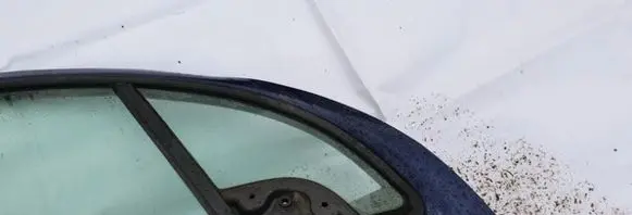 Citroen C3 Front door vent window glass four-door 