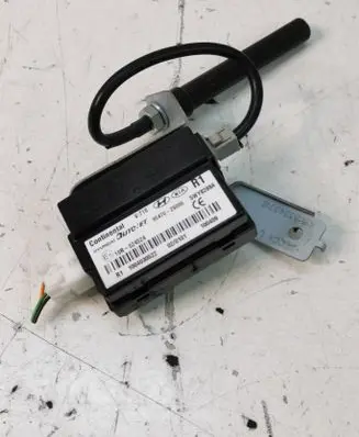 Hyundai ix35 Keyless (KESSY) go control unit/module 5WY8289A 954702S000 1004030522