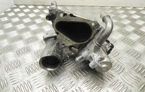 Renault Laguna III EGR valve 700368160