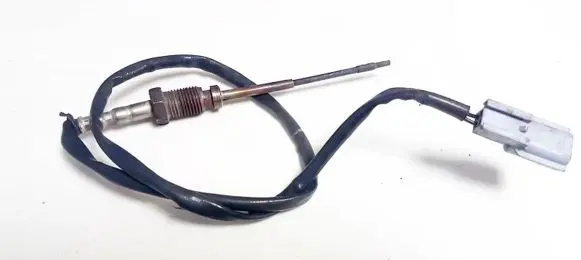 Exhaust gas temperature sensor
