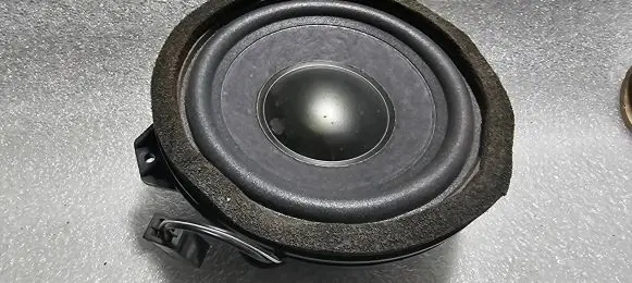 Rear door speaker