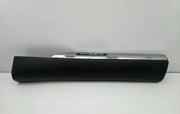 Lexus RX III Rear door trim (molding) 10920640L0