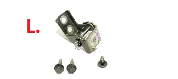 Rear door lower hinge