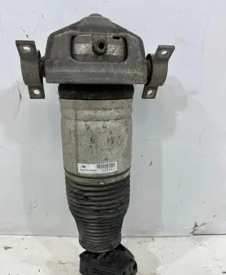 Porsche Cayenne (9PA) Rear shock absorber/damper 7L5616019G