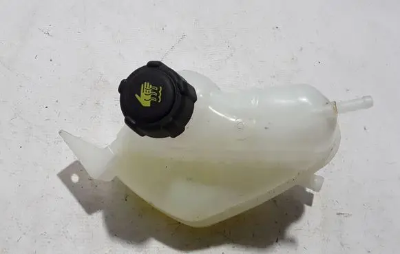 Renault Kadjar Coolant expansion tank/reservoir 217114EA0A