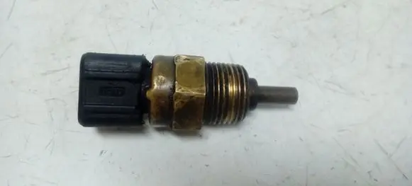 Hyundai Santa Fe Sensor