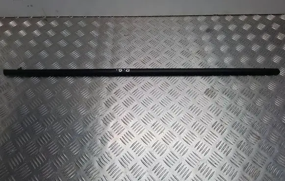 Honda Civic Rear door glass trim molding
