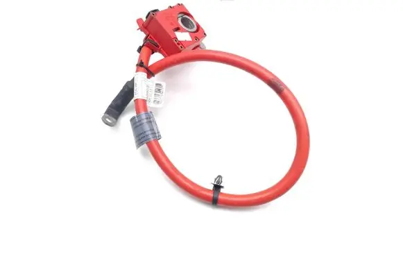 BMW X3 F25 Positive wiring loom 9225099 922509901