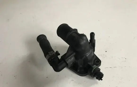 Thermostat/thermostat housing