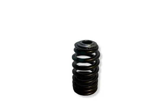 Dodge Challenger Valve spring 