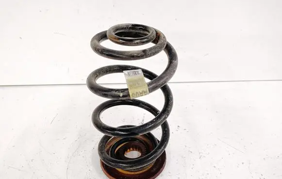 Rear coil spring