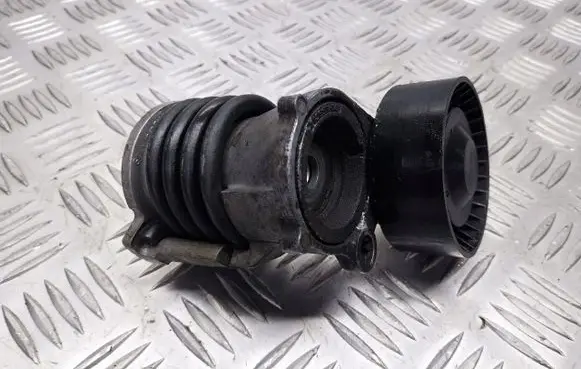 Seat Ibiza III (6L) Alternator belt tensioner pulley 03D903305B