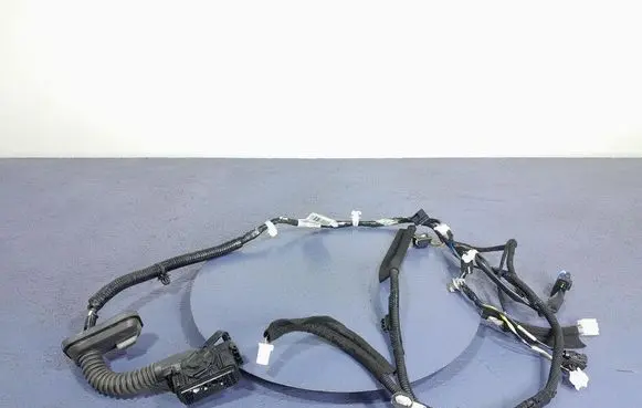 Other wiring loom