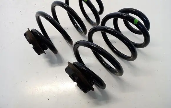 Nissan Leaf II (ZE1) Rear coil spring 17737646656